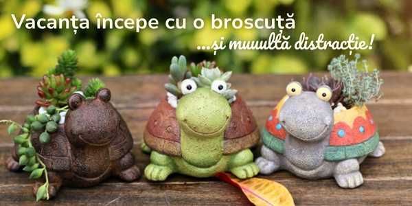 Figurina din ipsos Broscuta-Ghiveci - Saptamana Verde