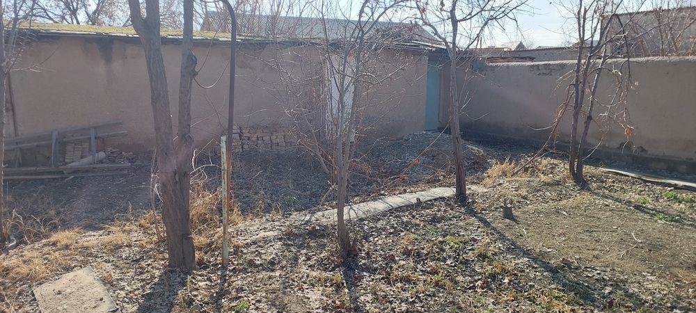 Дача  в обществе Восход