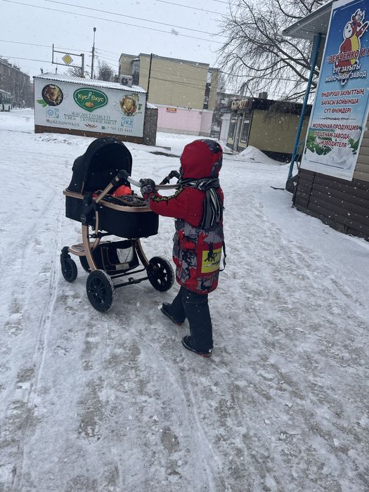 Продам коляску зима лето