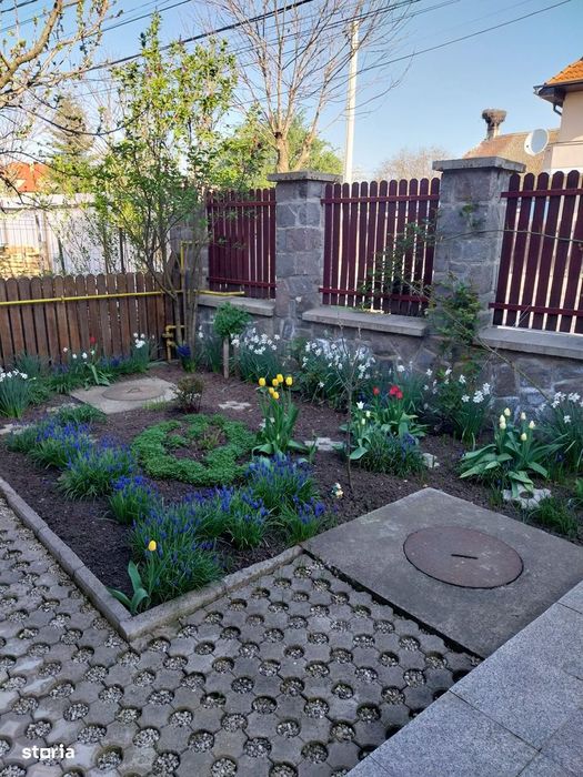 Proprietate versatilă, mobilată, utilată - 260 m² utili + 730 m² curte