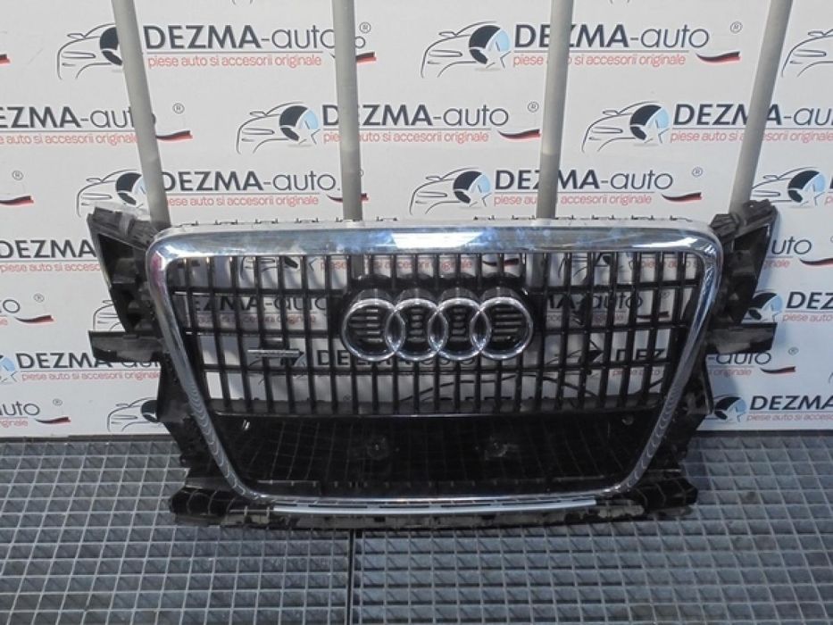 Grila bara fata centrala cu sigla si senzori, 8R0853651, Audi Q5 (8R)