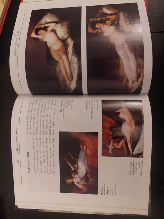 5 Carti din Colectia Pictori de Geniu, noi