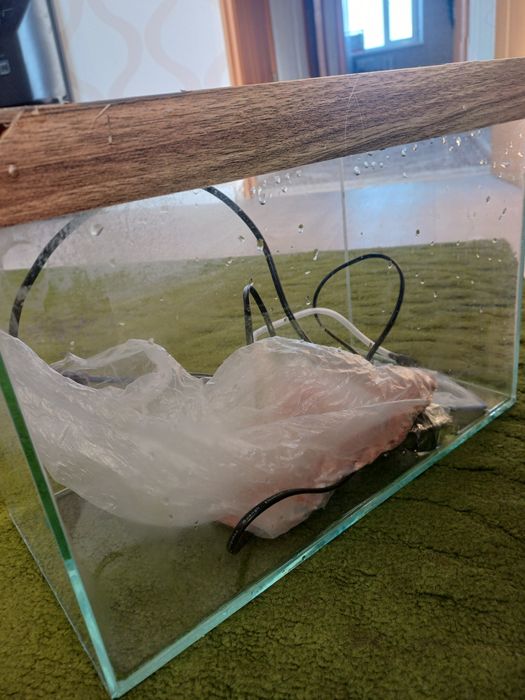 Продам аквариум 15литр