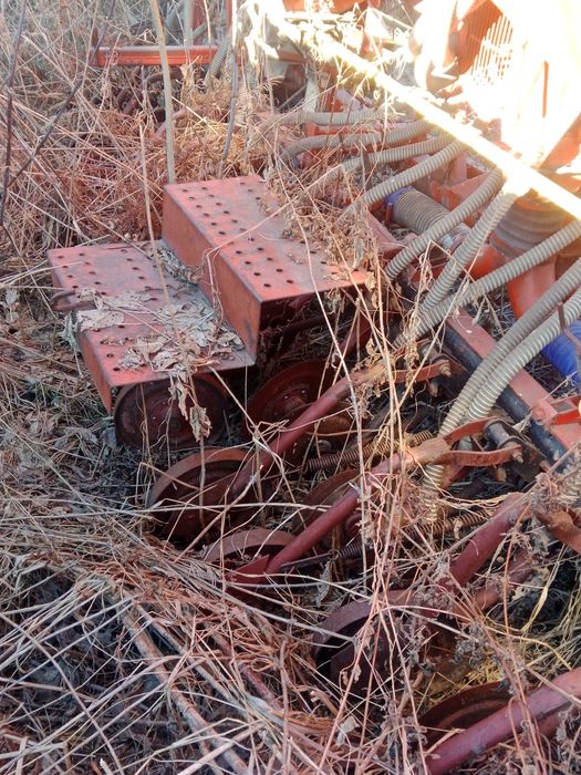 Сеялка для масленичных пород