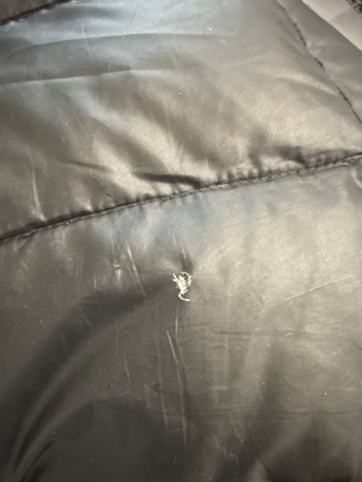 Женский пуховик Maxmara