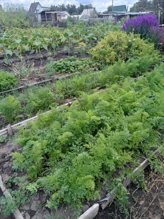 Продам дачу район Новопавловки