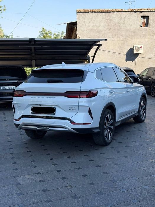 Byd champion 150 km full