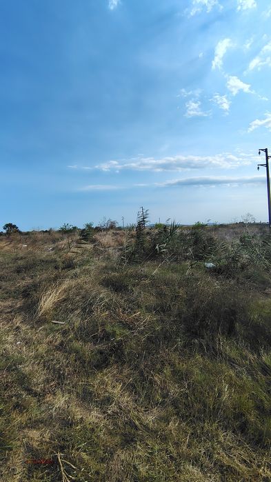Продава се Парцел в с. Каменар, Област Бургас - 6500 кв.м за 52 €/кв.м - Снимка #4