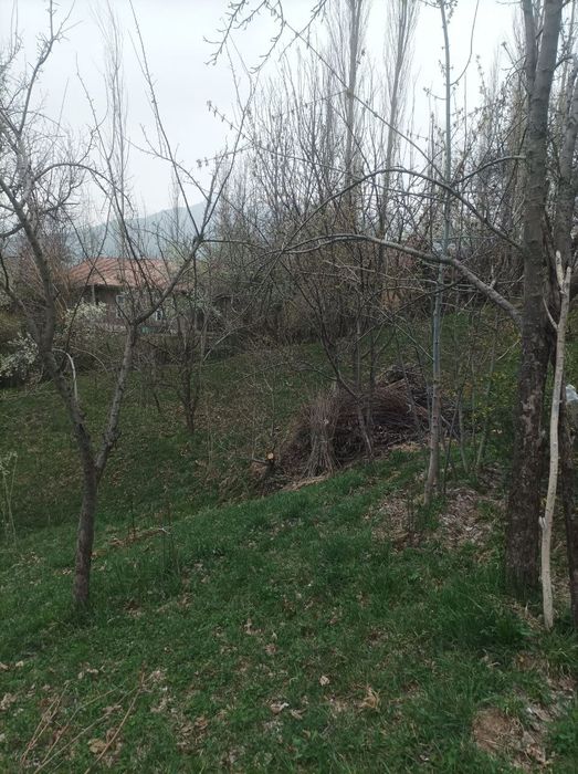 Yer sotiladi srochna 10 sotix Bo'stonliqda