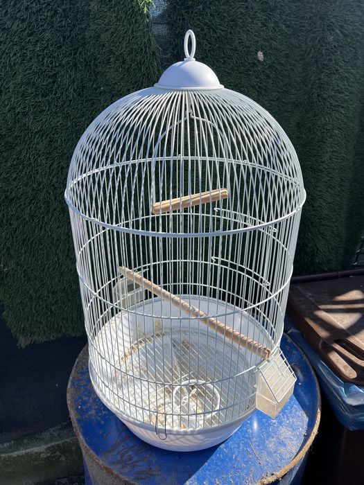 Colivie pentru pasari , impecabila .