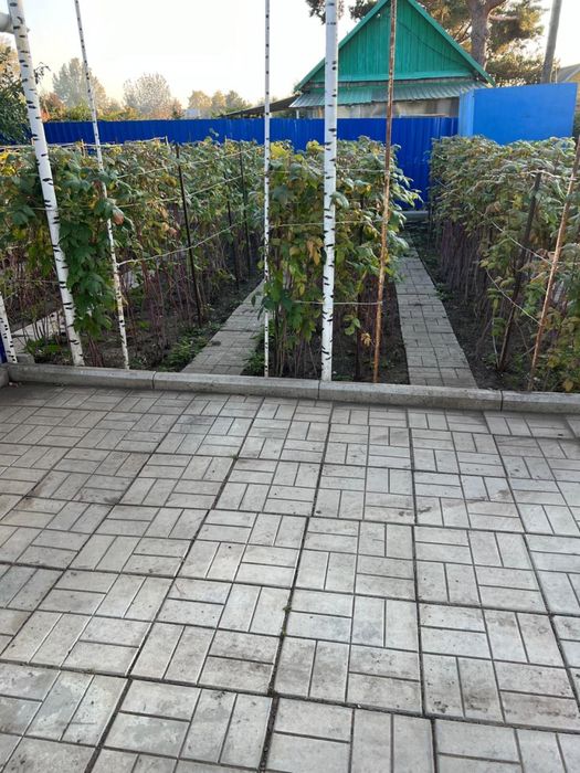 ПРОДАМ ДАЧУ. Садовое общество «Дорожник»