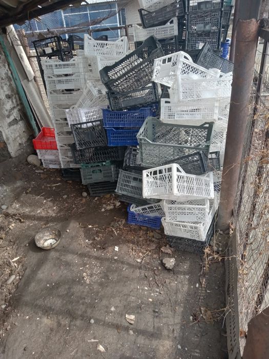 Коробки картон и ящики пластмас