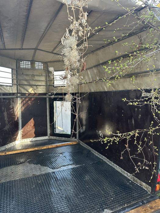 Коневозка для лошадей