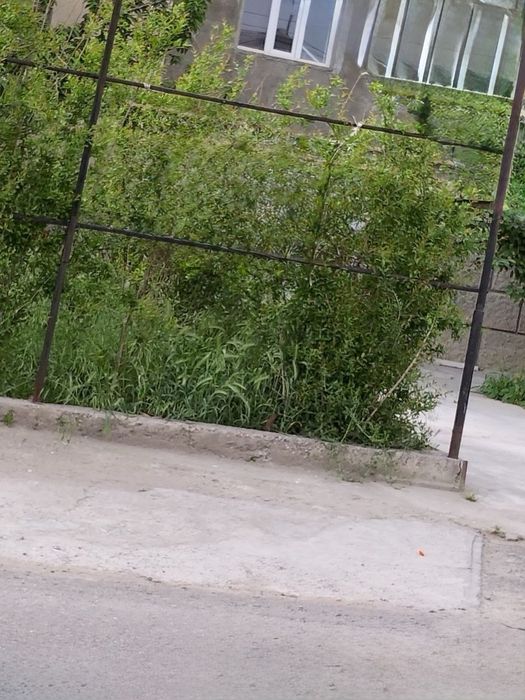 Исламабад Участок 5,5сотки 250м2 6 комнат