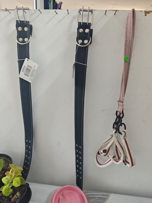 Нокиа жуген ошейник