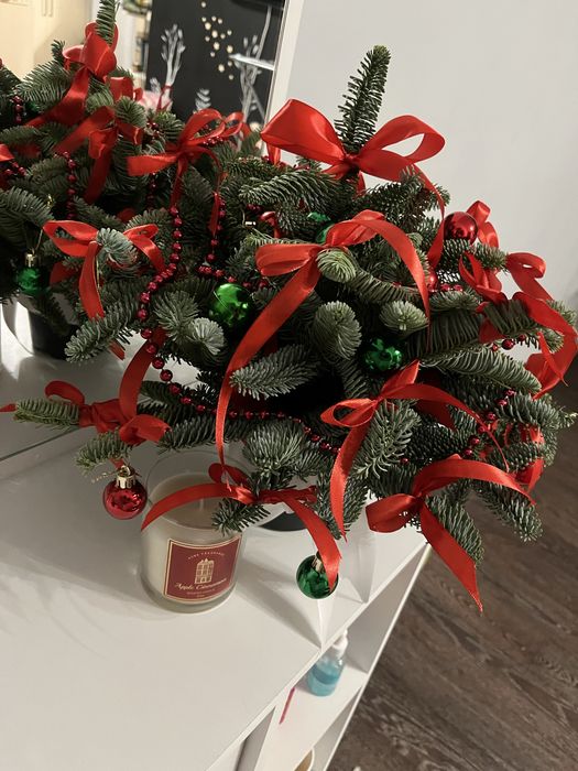 Новогодние композиции из нобилиса