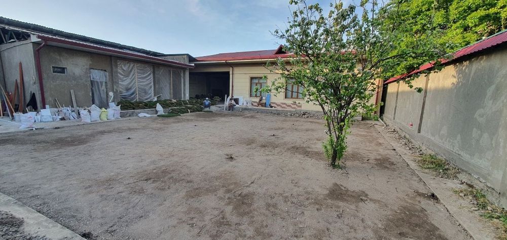 Газон рулонный..