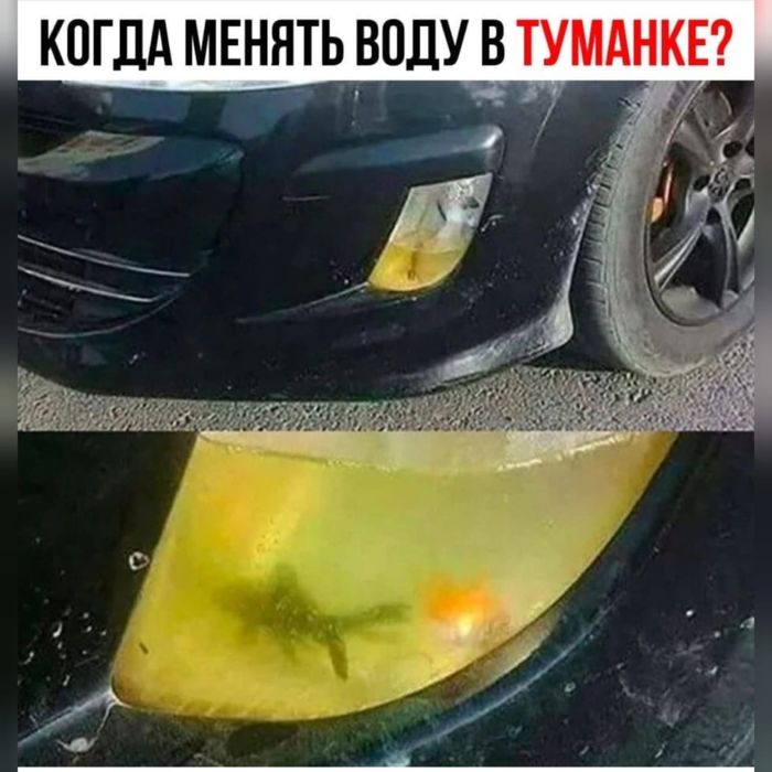 Ремонт и модернизация фар