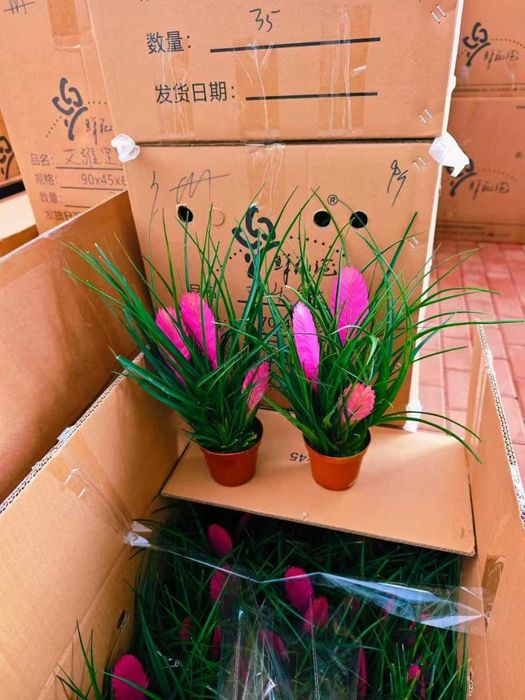 Гуллар сотилади, оптом нархларда.