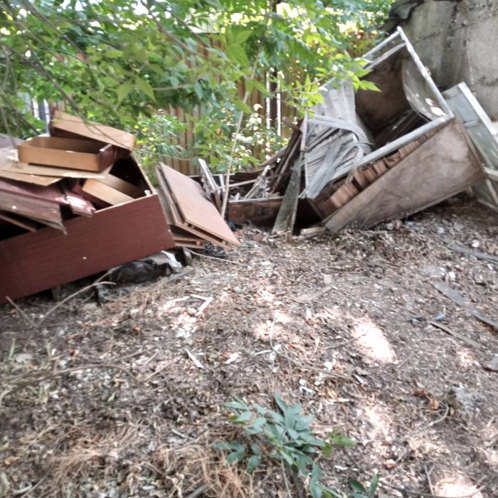 Отдам Дрова бесплатно