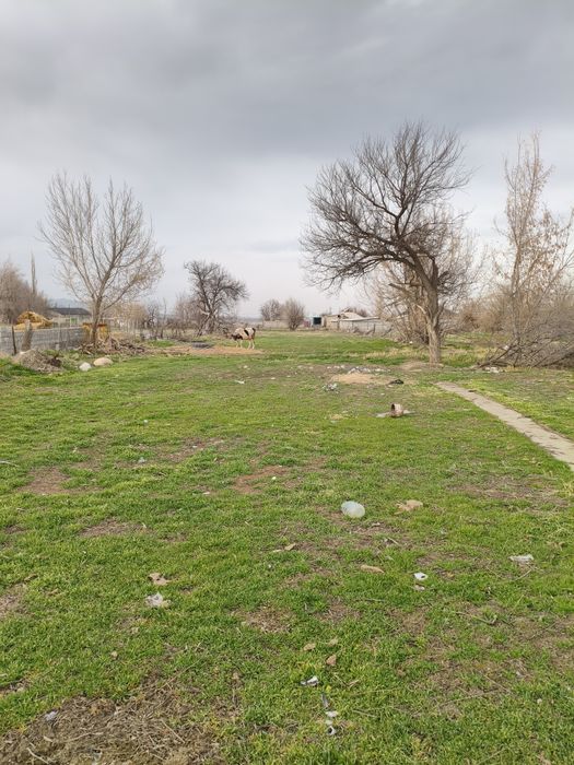 Продам дом под снос с участком