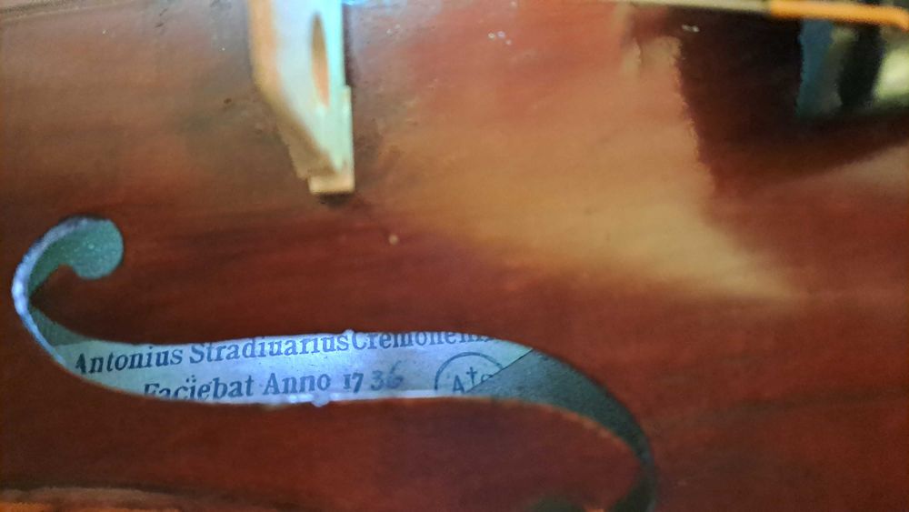 Vand vioara clasica.