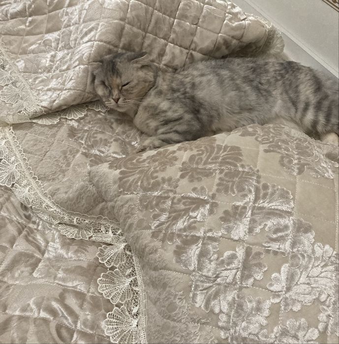 Отдам в хорошие руки