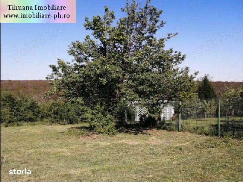 Teren de vanzare - Cocosesti(com. Paulesti)