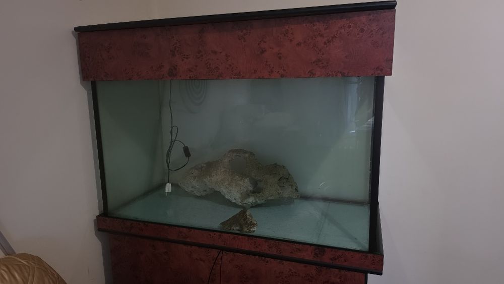 Aqariu mare pt pesti