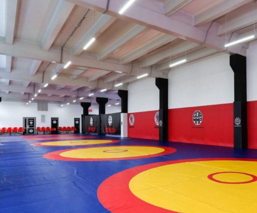 Борцовские покрышки и маты НПЭ