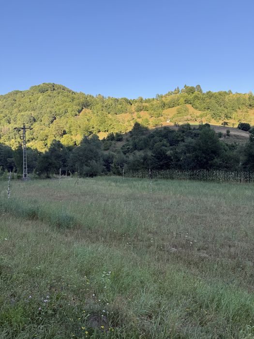 Teren intravilan de vânzare – 40 ari, Rebra, Bistrița-Năsăud