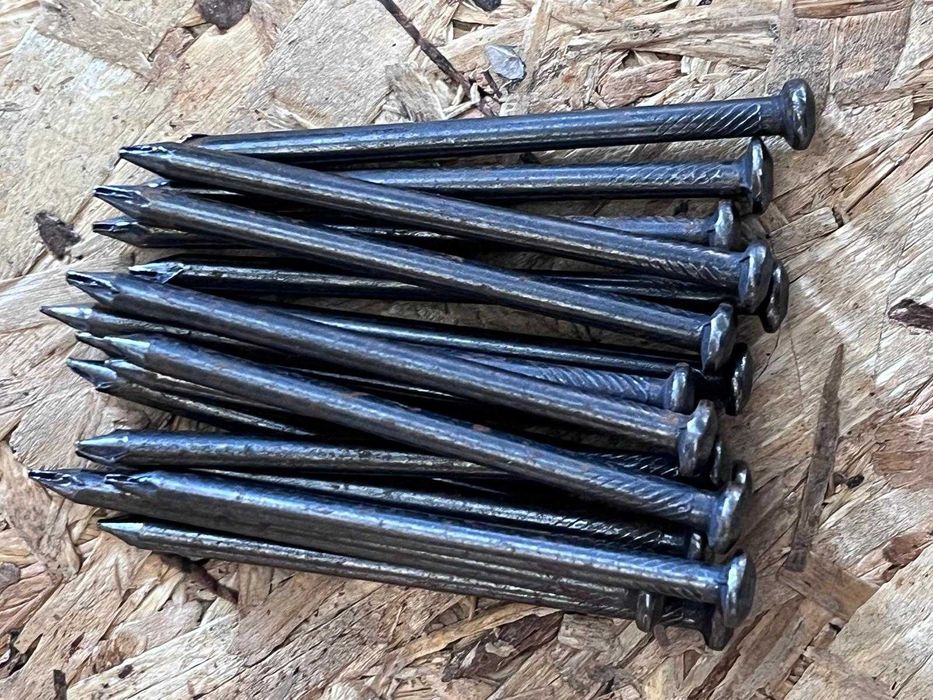 Cuie negre ( Titibi - profesionale )