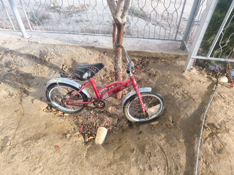 Velosiped bolalar uchun