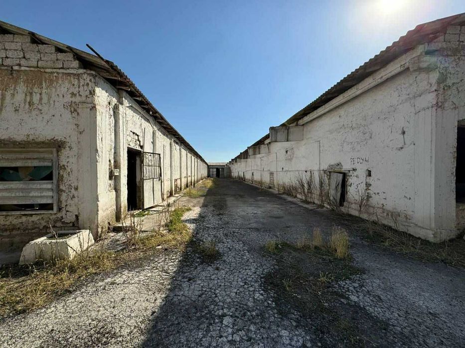 Продаётся  9 300 м² птицеферма.