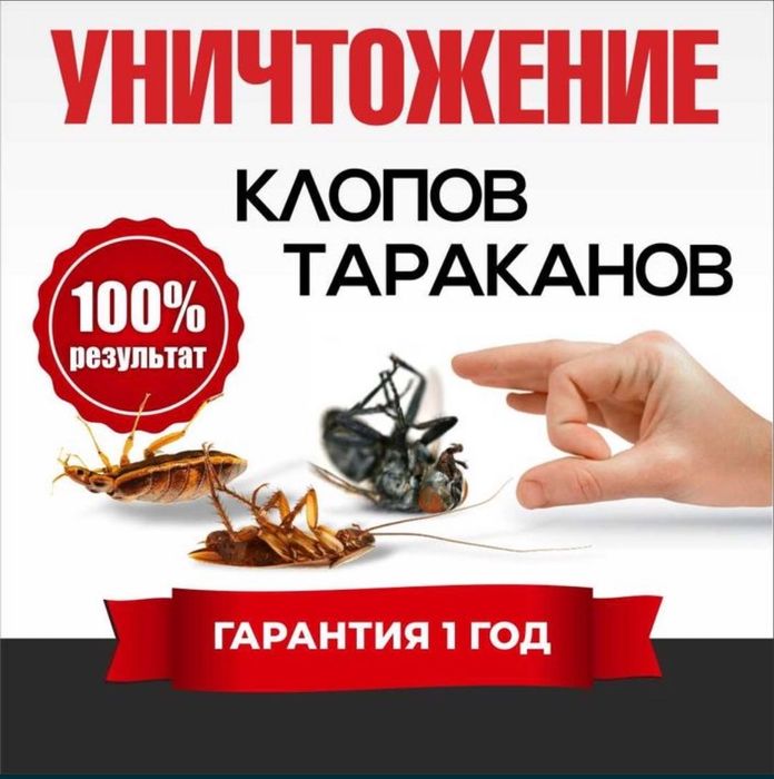 Уничтожение тараканов и клопов в квартире от 15000 тг