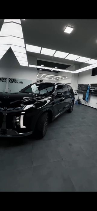 Hyundai Palisade calligraphy