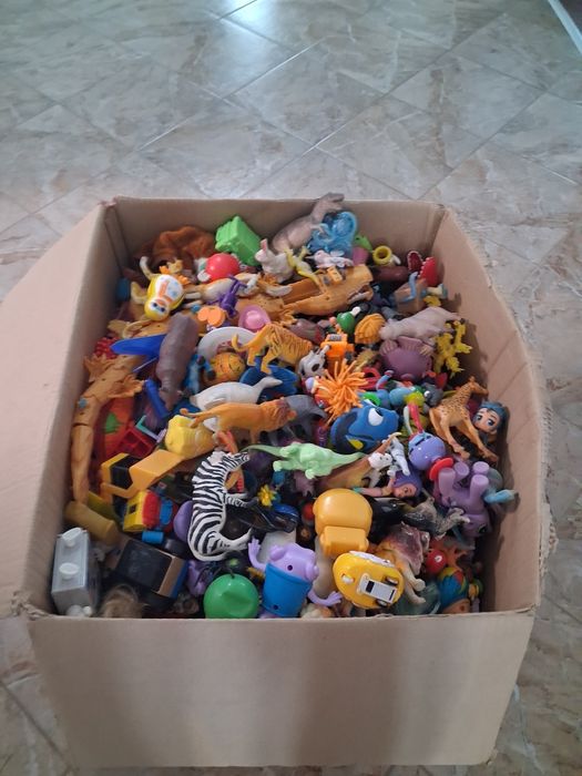 Donez jucarii in Botoșani