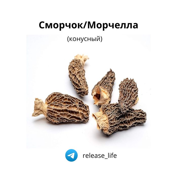 Сушеные лечебные грибы