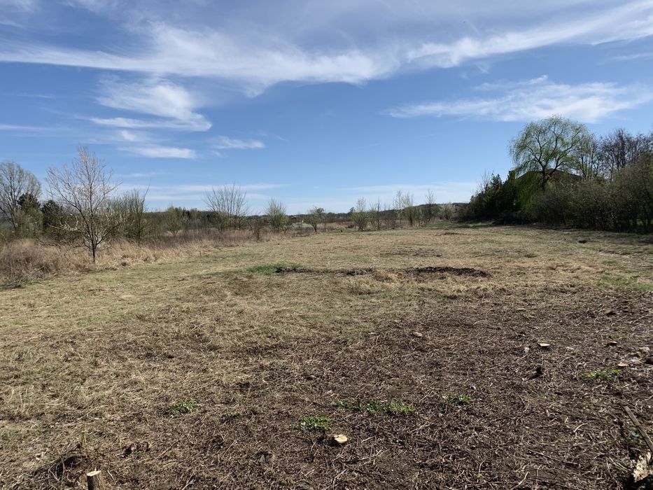 Servicii de curățare și defrișare ternuri de vegetație spontană….etc!!