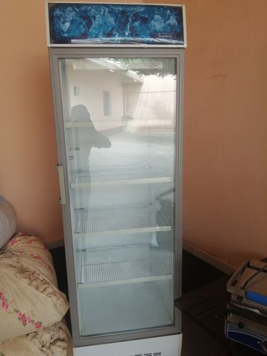 Muzlatgich xolati alo Biryussa