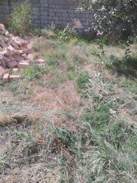 Toshkendan uncha uzo bomagan yer uchastka sotiladi