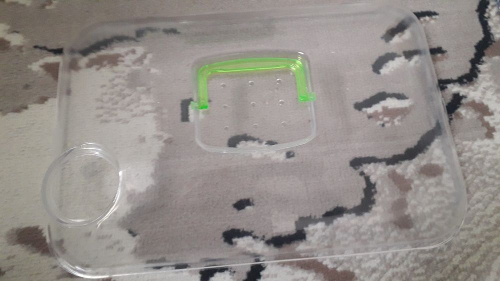 Клетка сотилади Хомяк билан бирга. Хомяк сирийский, угил бола.