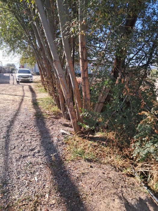 Участок сатылады Каскелен