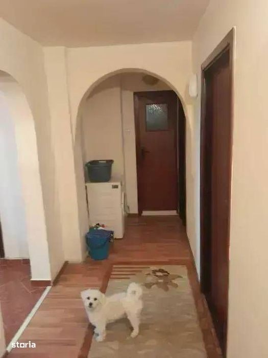 Apartament 4 Camere Otopeni | Ultracentral | Parter | 2 Intrari