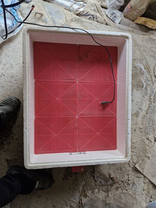 Продаётся на 104 яиц