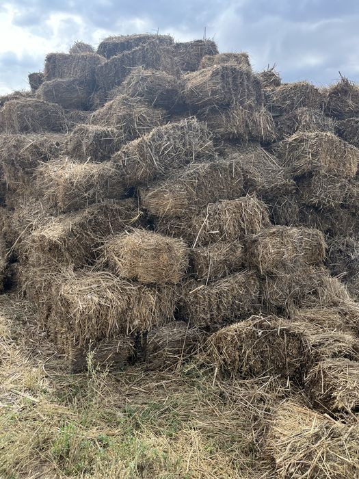Продамтюки  церна
