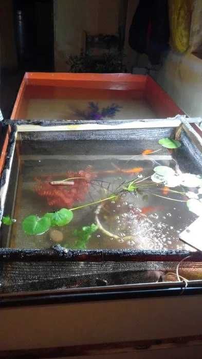 Плавательные бассейны,  аквариумы и емкости из алюкобонда