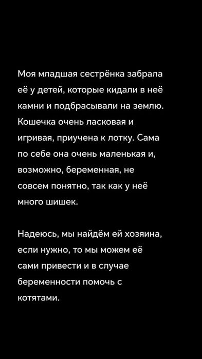 Кошечка в добрые руки