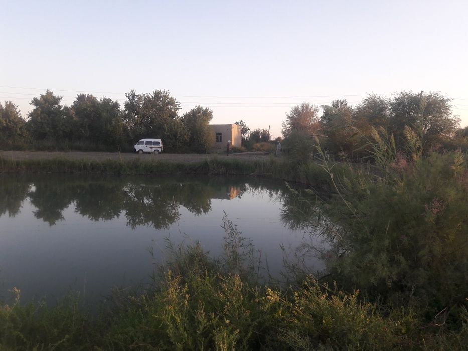 6 гектарлик ер сотилади балихона