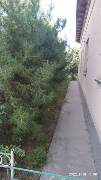 Продается дом 16 соток